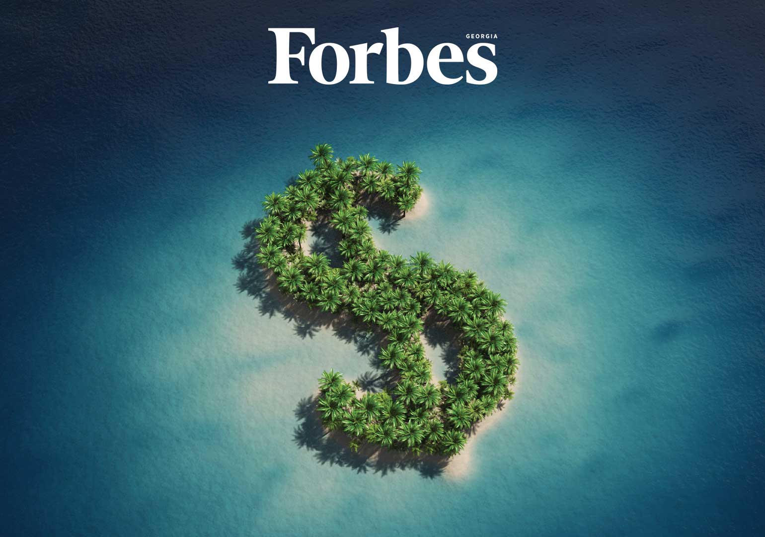 უმსხვილესი ოფშორული კომპანიები საქართველოში