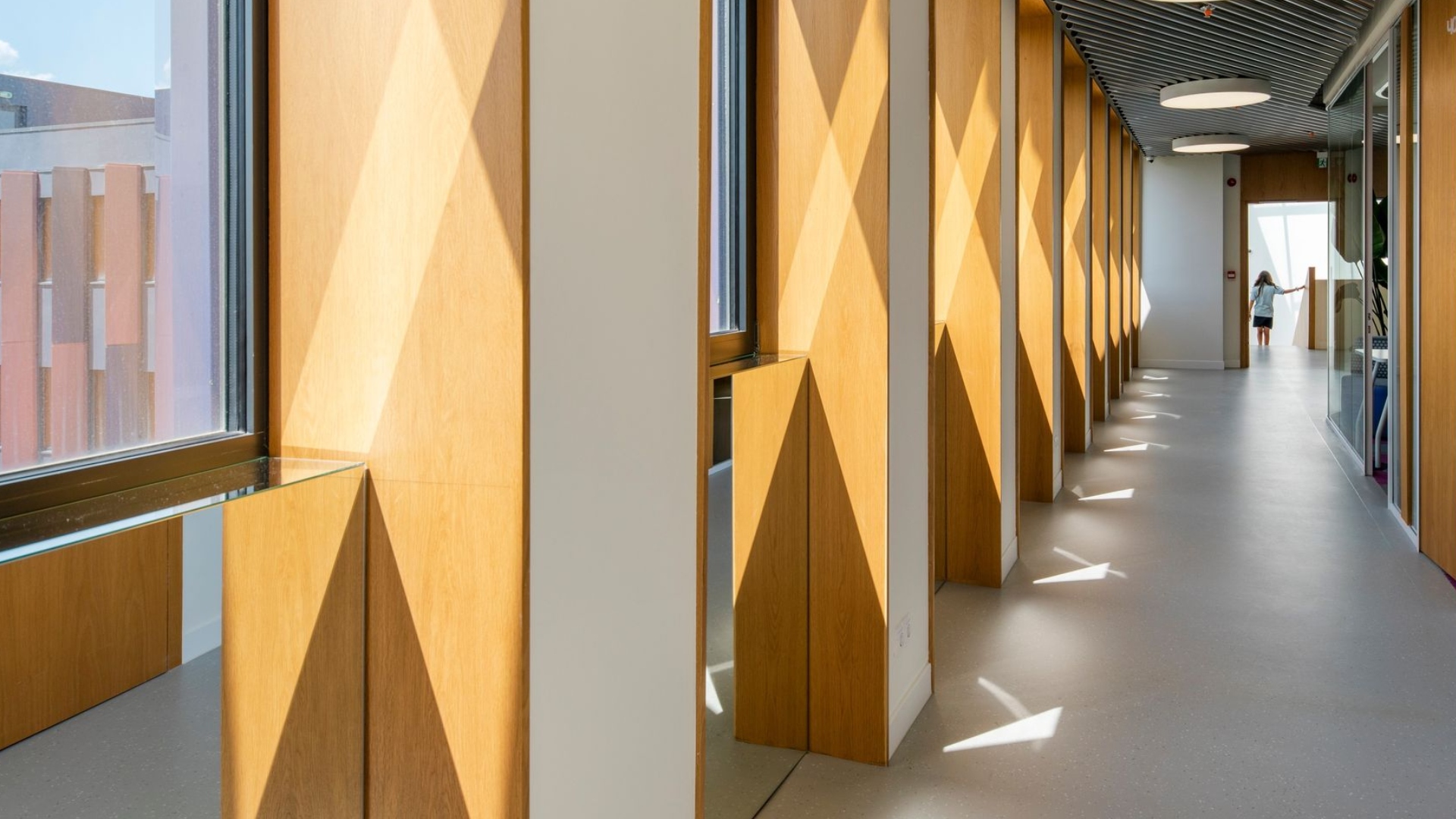 ბრიტანულ-ქართული აკადემიის წარმომადგენელმა Georgia Capital-თან არსებულ დავასთან დაკავშირებით პოზიცია მედიას გააცნო