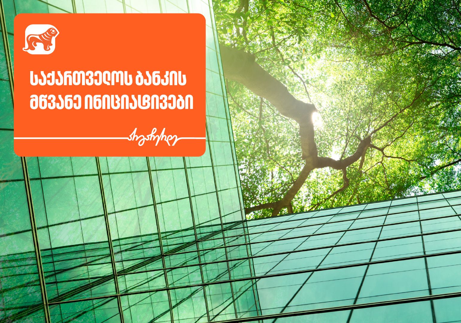 როგორია საქართველოს ბანკის მწვანე ინიციატივები?