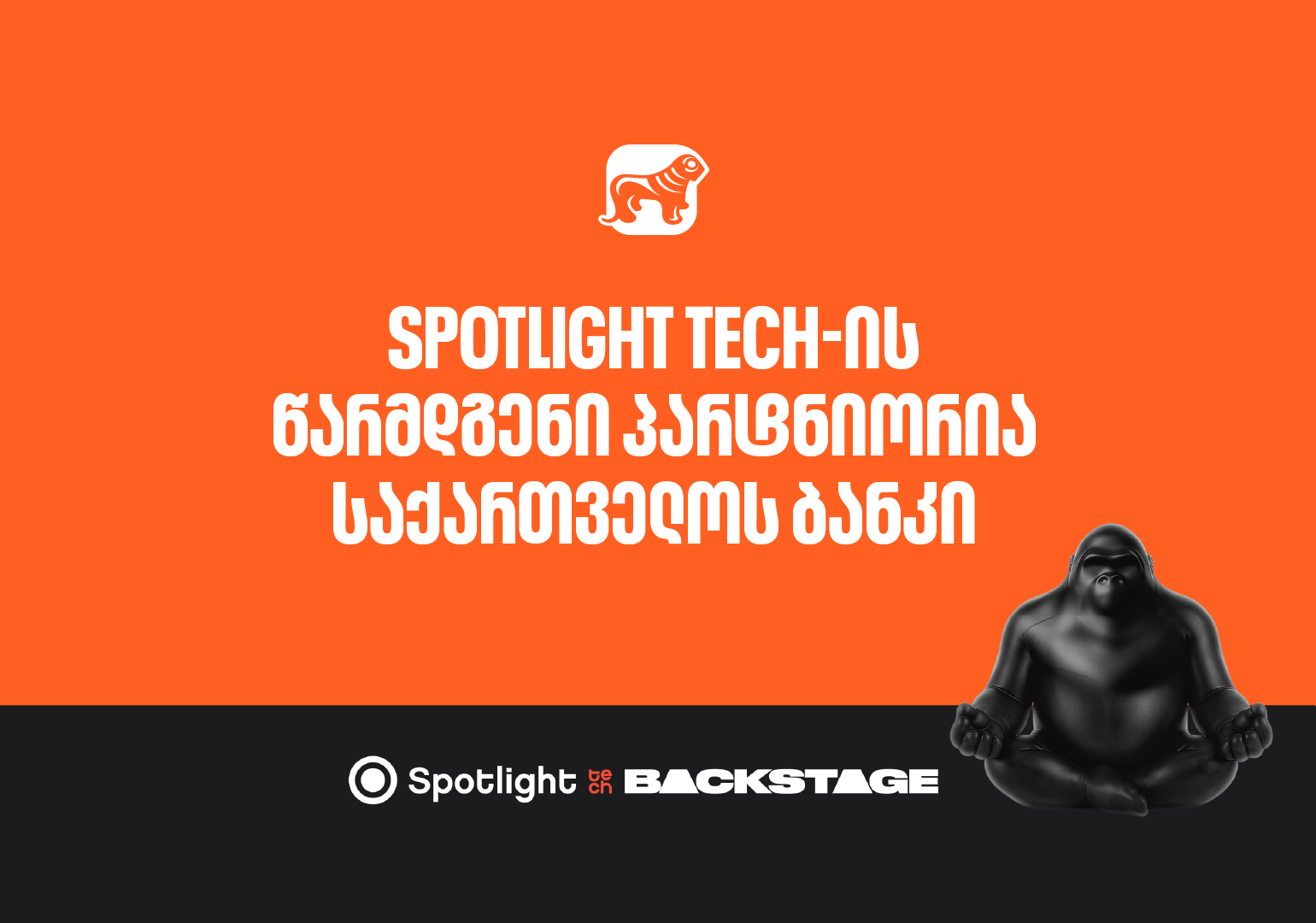 საქართველოს ბანკის მხარდაჭერით, Spotlight Tech გაიმართება