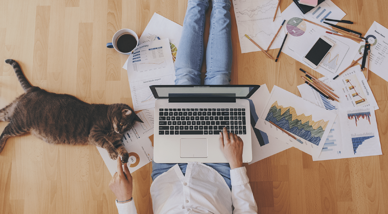 დისტანციური სამუშაო რეჟიმი: რომელი ქვეყნები ლიდერობენ ევროპაში?