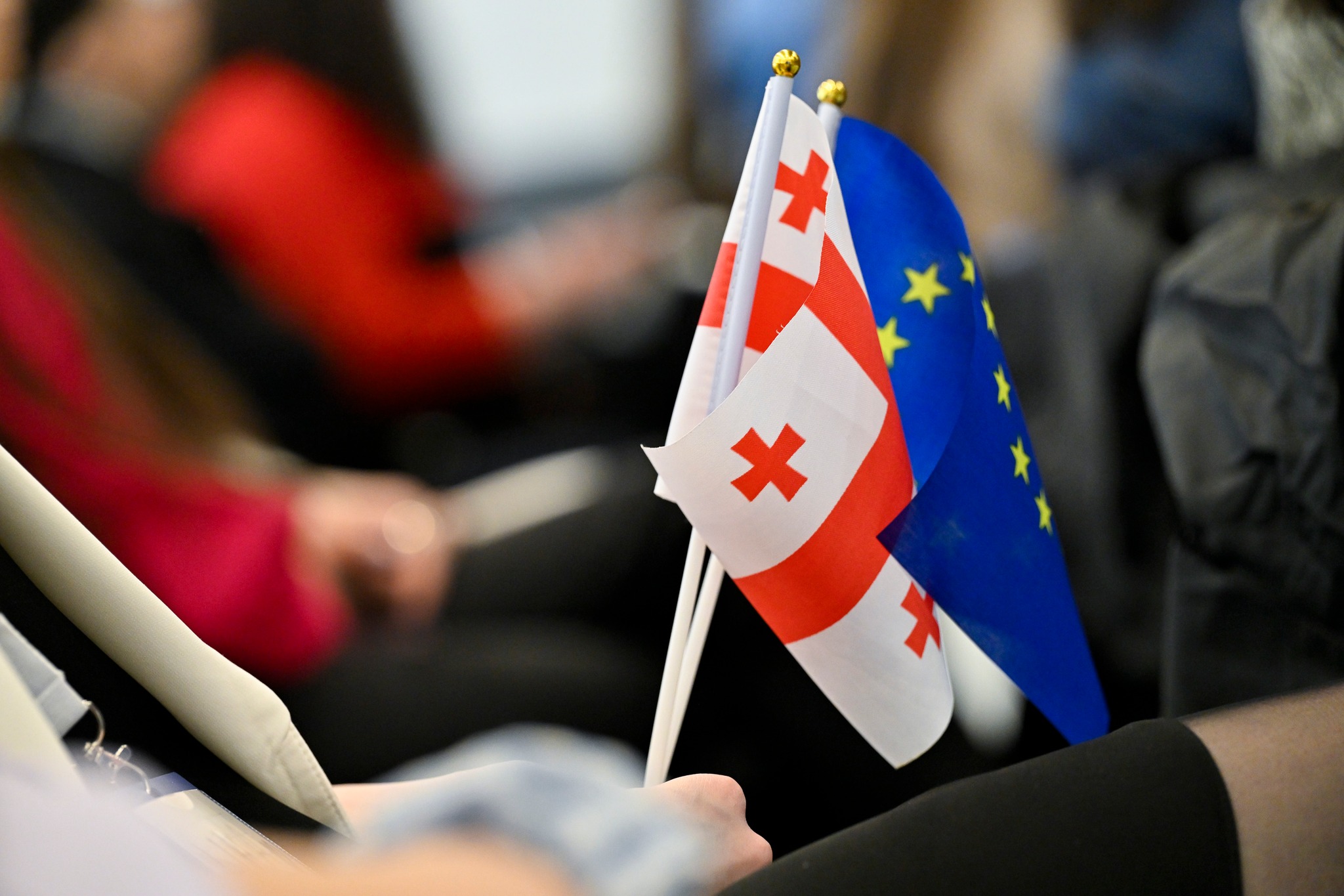 ევროპარლამენტმა საქართველოს შესახებ მორიგი კრიტიკული რეზოლუცია მიიღო