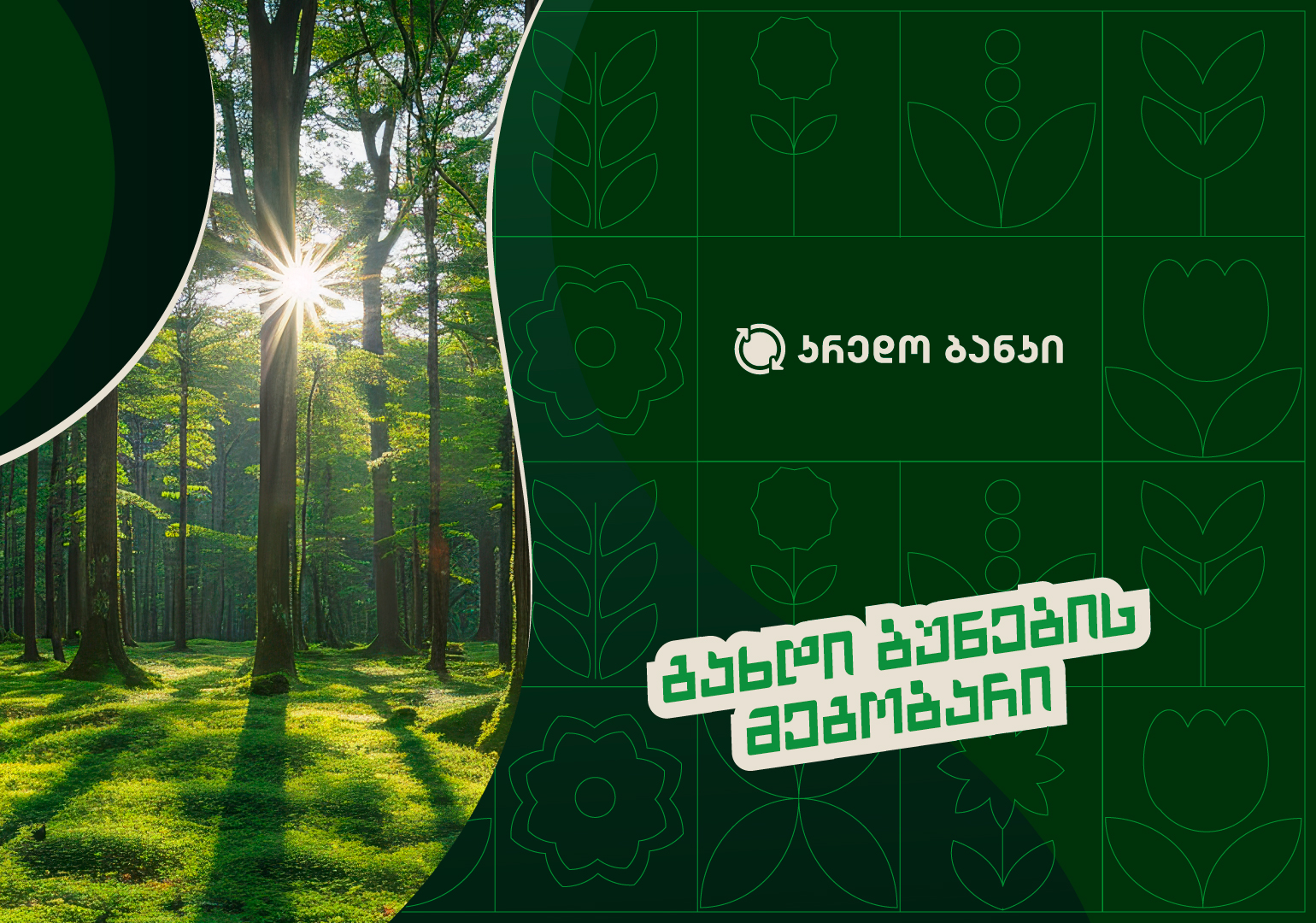 „მწვანე ანაბრის“ პროექტის ფარგლებში, კრედო ბანკმა დათვების ტყის დასუფთავების ღონისძიება ჩაატარა