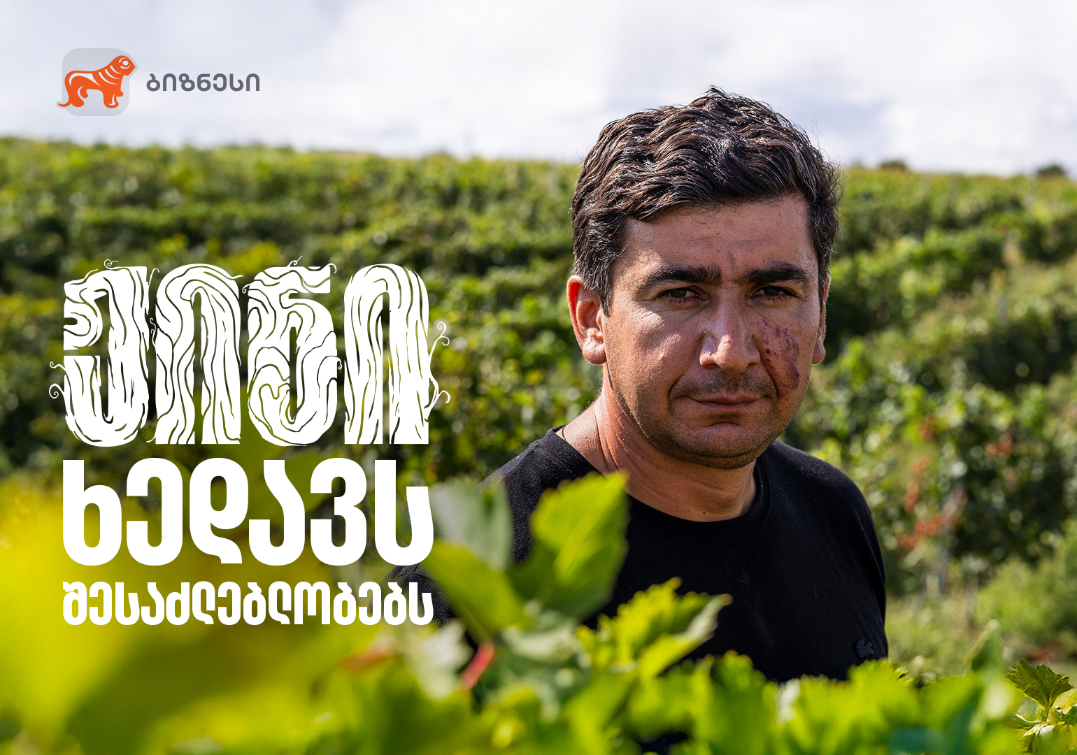 გაიცანით თაბუაშვილის მარანი „დოესი“, რომლის პარტნიორია საქართველოს ბანკი