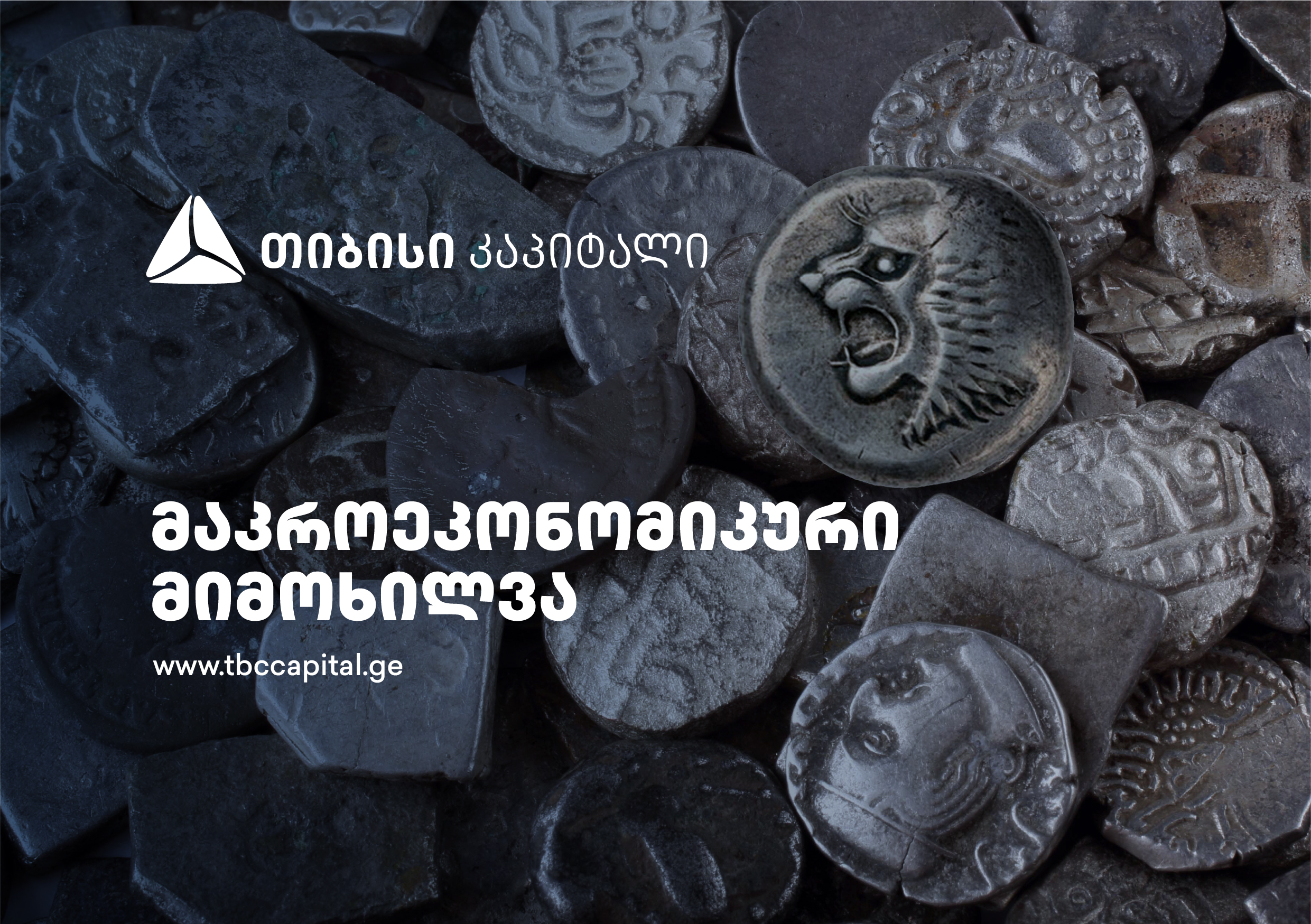 თიბისი კაპიტალმა ყოველთვიური მაკროეკონომიკური მიმოხილვა გამოაქვეყნა – ლარიზაციის დინამიკა განახლდა